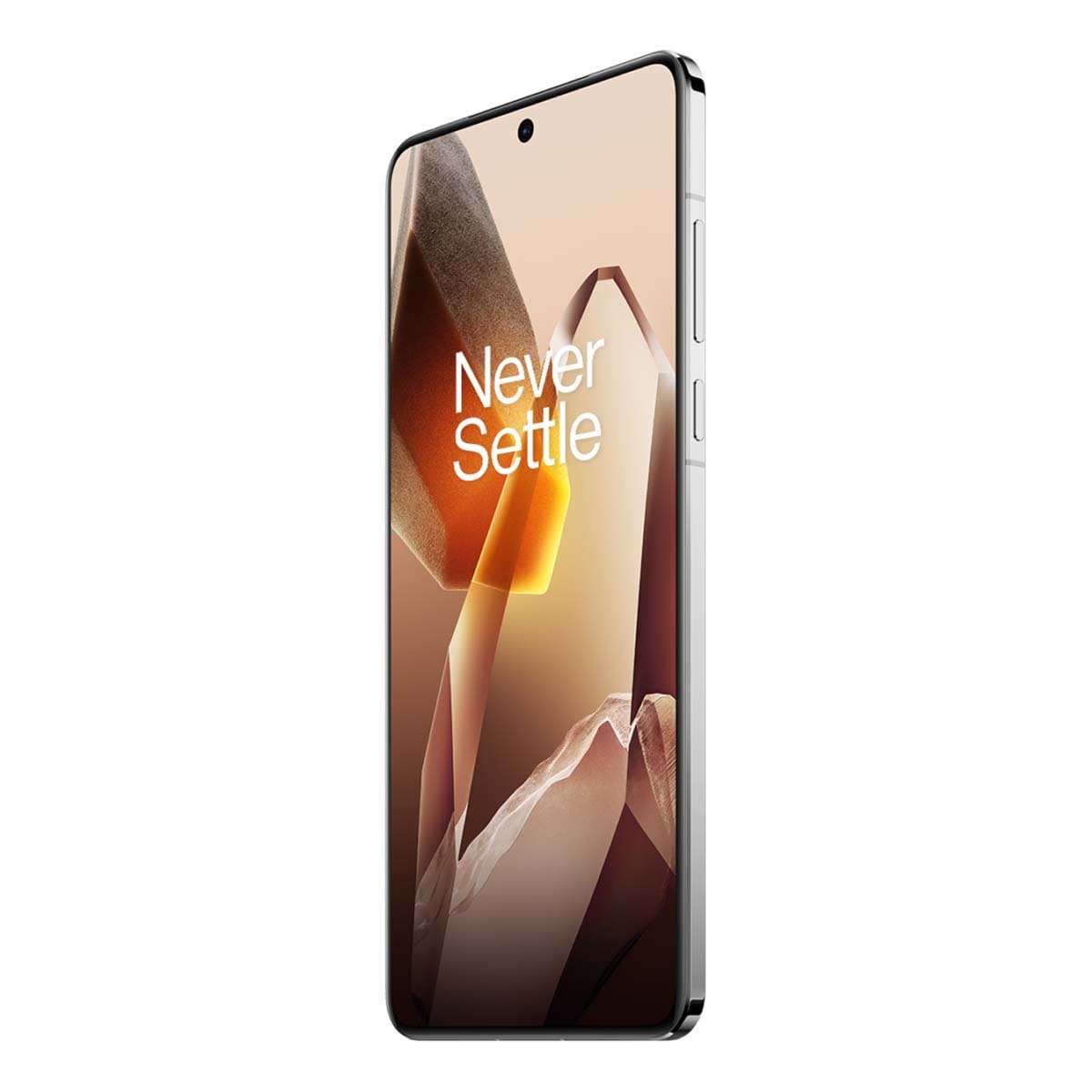 OnePlus 13 (2024) 12/256Gb White, белый